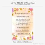 ja-tu-mere-wall-hai-info-details