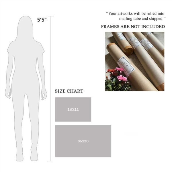 18X11,36X20 (Size Chart AE)